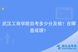 武漢工商學(xué)院自考多少分及格？在哪查成績(jī)？