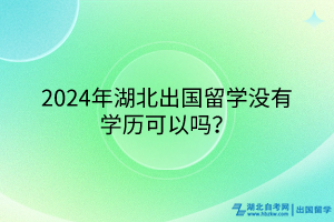 2024年湖北出國留學沒有學歷可以嗎？