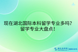 現(xiàn)在湖北國際本科留學(xué)專業(yè)多嗎？留學(xué)專業(yè)大盤點！