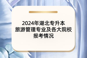 2024年湖北專升本旅游管理專業(yè)及各大院校報考情況