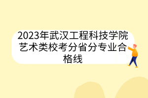 2023年武漢工程科技學院藝術類?？挤质》謱I(yè)合格線