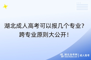 湖北成人高考可以報幾個專業(yè)？跨專業(yè)原則大公開！