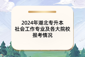 2024年湖北專升本社會(huì)工作專業(yè)及各大院校報(bào)考情況