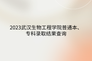 2023武漢生物工程學(xué)院普通本、?？其浫〗Y(jié)果查詢