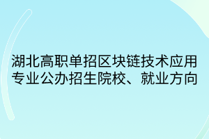 湖北高職單招區(qū)塊鏈技術(shù)應(yīng)用專業(yè)公辦招生院校、就業(yè)方向