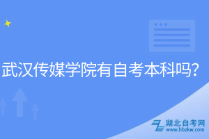 武漢傳媒學院有自考本科嗎？