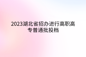 2023湖北省招辦進(jìn)行高職高專普通批投檔