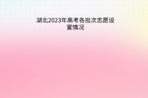 湖北2023年高考各批次志愿設(shè)置情況