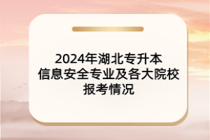 2024年湖北專升本信息安全專業(yè)及各大院校報考情況