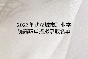 2023年武漢城市職業(yè)學院高職單招擬錄取名單