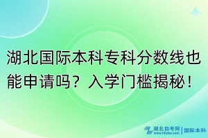 湖北國(guó)際本科專(zhuān)科分?jǐn)?shù)線也能申請(qǐng)嗎？入學(xué)門(mén)檻揭秘！