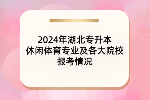 2024年湖北專升本休閑體育專業(yè)及各大院校報考情況