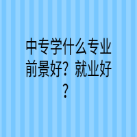 中專學(xué)什么專業(yè)前景好？就業(yè)好？