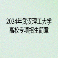 2024年武漢理工大學(xué)高校專(zhuān)項(xiàng)計(jì)劃招生簡(jiǎn)章