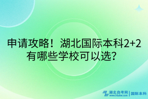 申請(qǐng)攻略！湖北國(guó)際本科2+2有哪些學(xué)?？梢赃x？