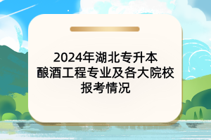 2024年湖北專升本釀酒工程專業(yè)及各大院校報考情況