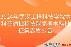 2024年武漢工程科技學(xué)院本科普通批和技能高考本科批征集志愿公告