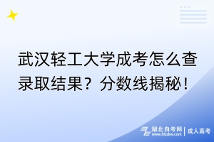 武漢輕工大學成考怎么查錄取結果？分數(shù)線揭秘！