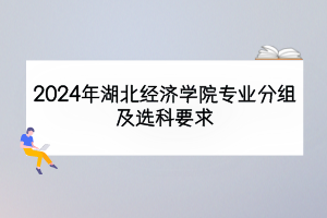 2024年湖北經(jīng)濟學(xué)院專業(yè)分組及選科要求