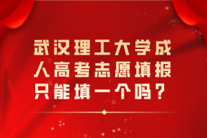 武漢理工大學成人高考志愿填報只能填一個嗎？