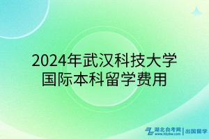 2024年武漢科技大學(xué)國(guó)際本科留學(xué)費(fèi)用