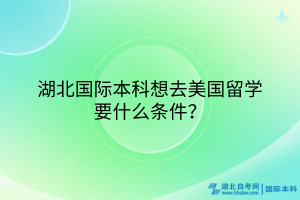 湖北國際本科想去美國留學要什么條件？