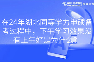 在24年湖北同等學力申碩備考過程中，下午學習效果沒有上午好是為什么？