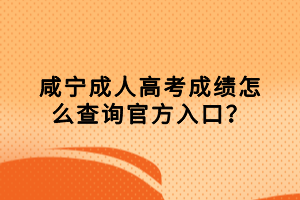 咸寧成人高考成績怎么查詢官方入口？