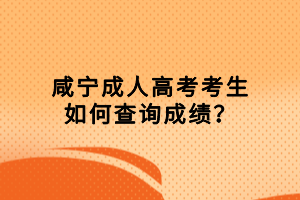 咸寧成人高考考生如何查詢成績？