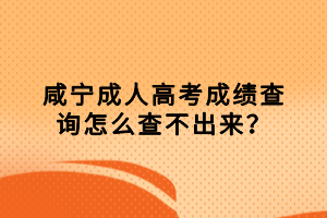 咸寧成人高考成績查詢怎么查不出來？