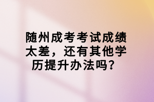 隨州成考考試成績太差，還有其他學歷提升辦法嗎？