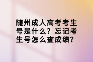 隨州成人高考考生號(hào)是什么？忘記考生號(hào)怎么查成績(jī)？