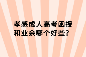 孝感成人高考函授和業(yè)余哪個(gè)好些？