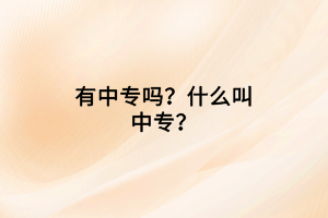 有中專嗎？什么叫中專？