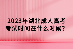 2023年湖北成人高考考試時間在什么時候？