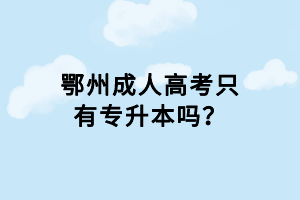 鄂州成人高考只有專升本嗎？