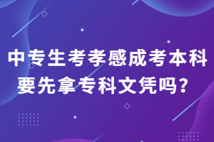 中專生考孝感成考本科要先拿?？莆膽{嗎？