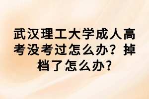 武漢理工大學(xué)成人高考沒(méi)考過(guò)怎么辦？掉檔了怎么辦_