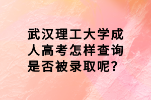 武漢理工大學成人高考怎樣查詢是否被錄取呢？