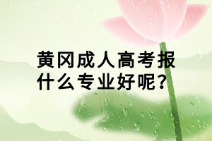 黃岡成人高考報什么專業(yè)好呢？