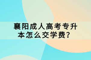 襄陽(yáng)成人高考專升本怎么交學(xué)費(fèi)？