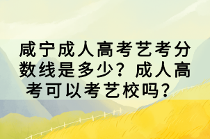 咸寧成人高考藝考分?jǐn)?shù)線是多少？成人高考可以考藝校嗎？