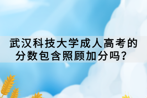 武漢科技大學(xué)成人高考的分?jǐn)?shù)包含照顧加分嗎？