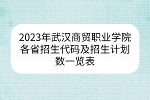 2023年武漢商貿(mào)職業(yè)學(xué)院各省招生代碼及招生計劃數(shù)一覽表