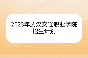 2023年武漢交通職業(yè)學(xué)院招生計劃