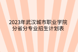 2023年武漢城市職業(yè)學院分省分專業(yè)招生計劃表