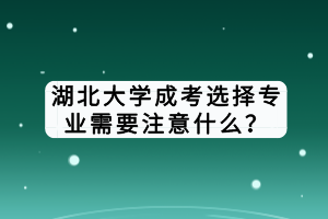 湖北大學成考選擇專業(yè)需要注意什么？