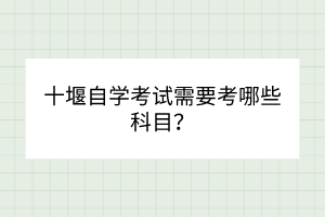 十堰自學(xué)考試需要考哪些科目？