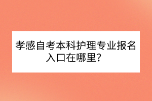 孝感自考本科護(hù)理專業(yè)報名入口在哪里？