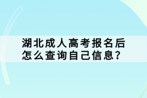 湖北成人高考報(bào)名后怎么查詢(xún)自己信息？